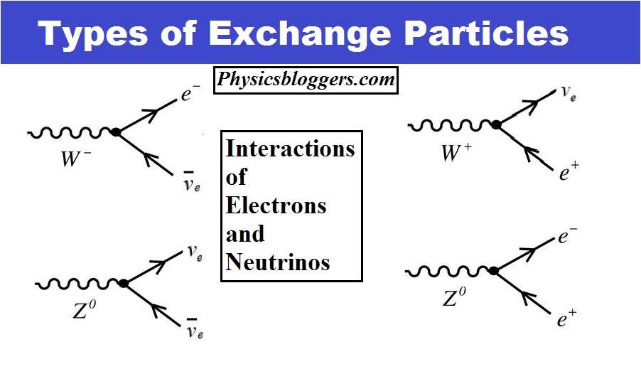 Types of exchange particles